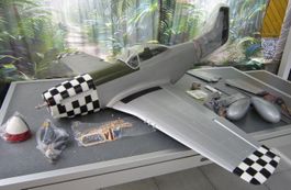 Mustang P-51D (1/7)