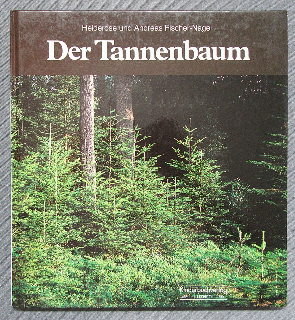 Libri: Der Tannenbaum - Kindersachbuch – Usato da Auenstein venduto da Padabimbim