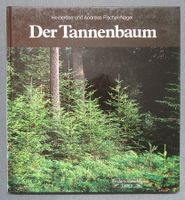 Der Tannenbaum - Kindersachbuch