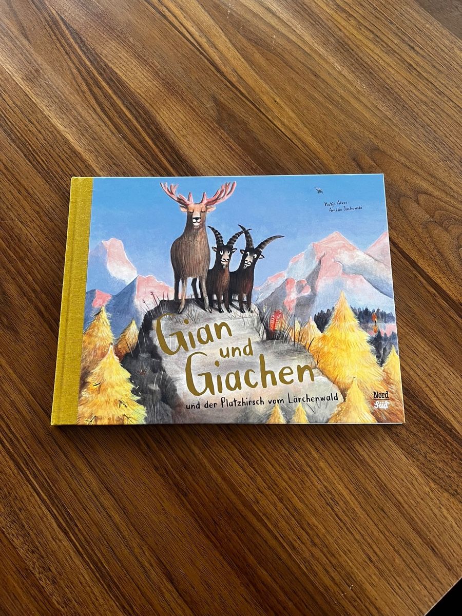 Livres: Gian und Giachen Kinderbuch – Neuf (Voir description) à Gamprin par Minabal