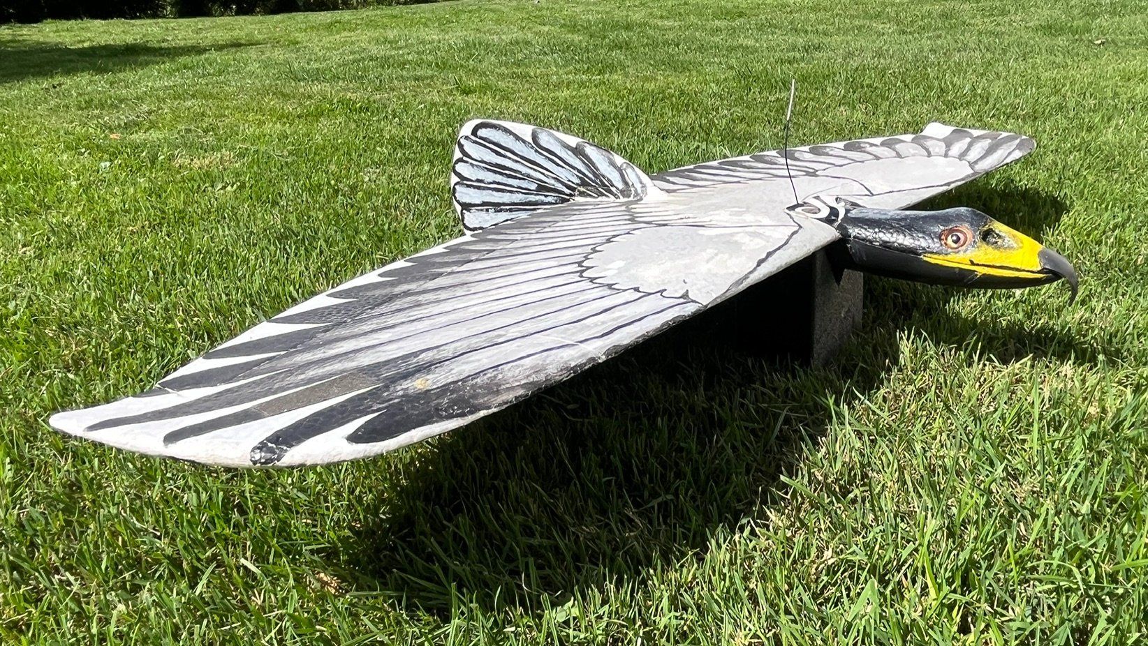 RC Modellbau: Segler ALULA als Adler – Gebraucht aus Buchrain von Bijou3