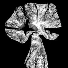 Profile image of Donmemo