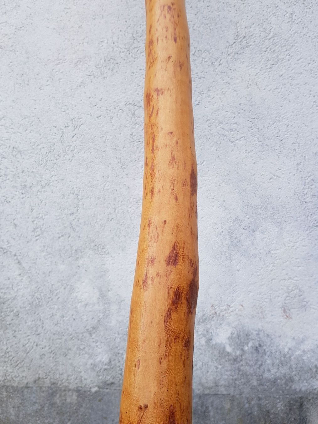 Musikinstrumente: Didgeridoo unbemalt – Gebraucht aus Wald ZH von Grappe 1