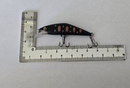 Schöner, neuwertiger Wobbler, 5.5cm, ideales Herbst Angebot!