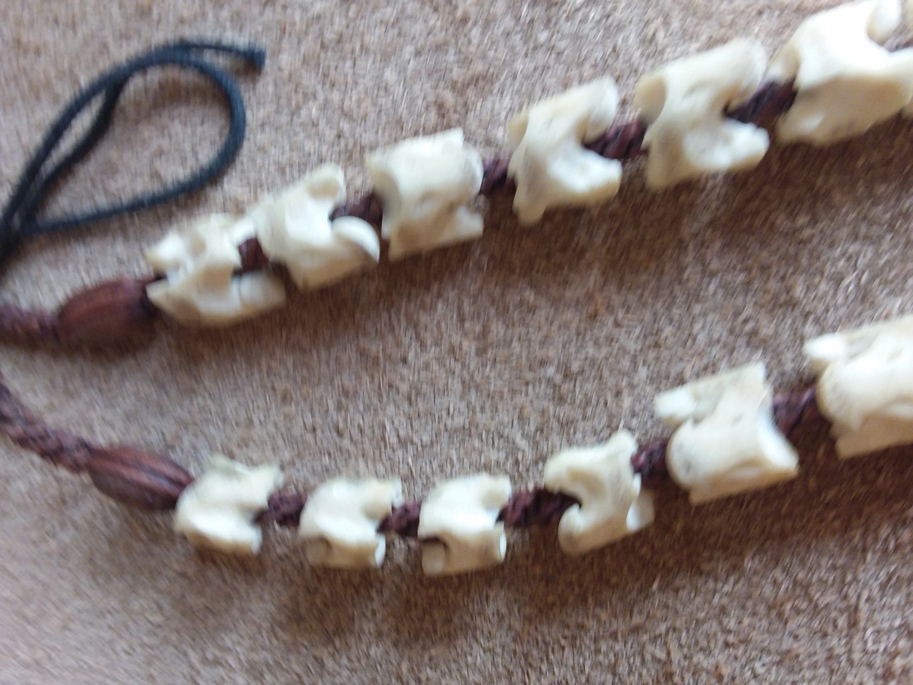 Catenine: Halskette Collier aus Schlangen Wirbelsäule/Knochen – Usato da Zürich venduto da helsan 5