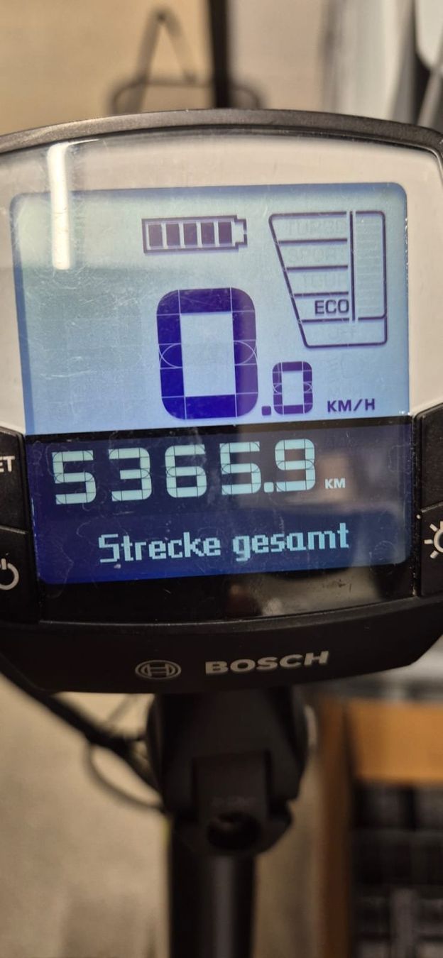 Bosch Biciclette: E-Bike Pegasus – Usato da Steinen venduto da dobs03 1