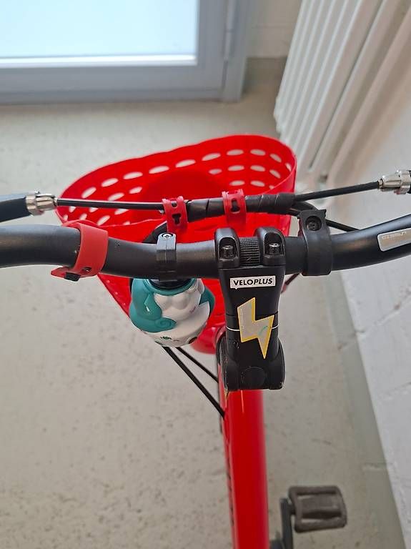 Flizzi Biciclette: Flizzi 20 Zoll – Usato da ZÜRICH venduto da us87