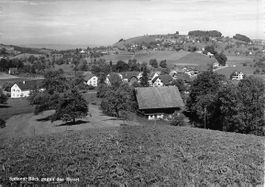 Horgen ZH Spitzen Flugaufnahme Nr.42591 , 1959