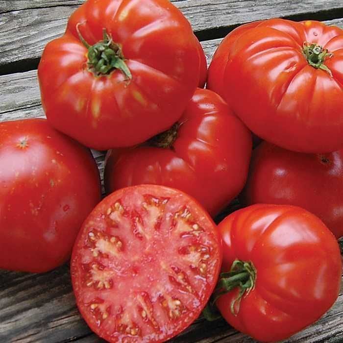 Piante & sementi: 30 Samen SOLDACKI Tomate – Nuovo (secondo la descrizione) da Ehrendingen venduto da VerveinaSamen 1