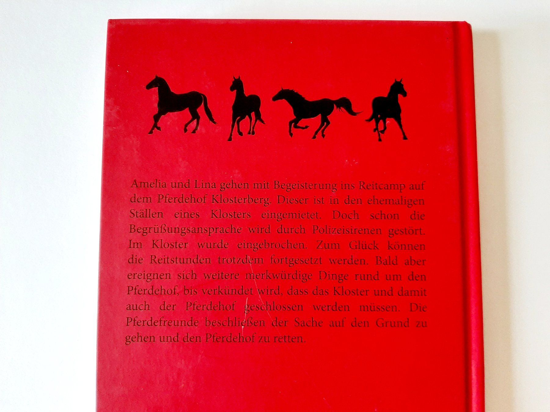Libri: Jugendbuch Pferdehof Klosterberg Bd.1 – Usato da Flaach venduto da maj_w_ 1