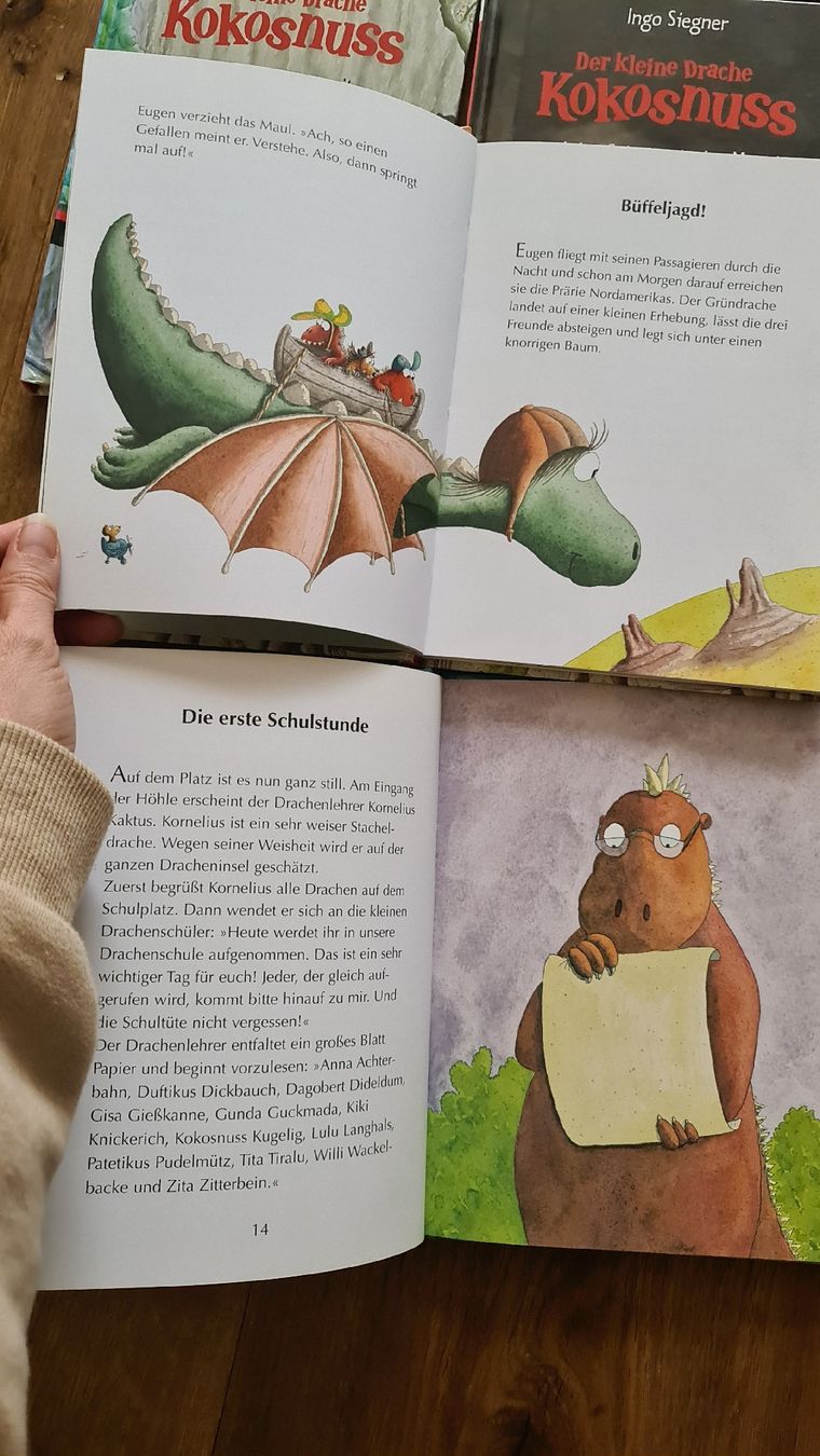 Libri: kleiner drachen kokosnuss grosses bücher set – Usato da Wittenbach venduto da Tigerlili 8