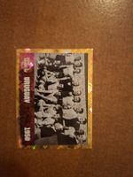 FCW 10 Paninibild