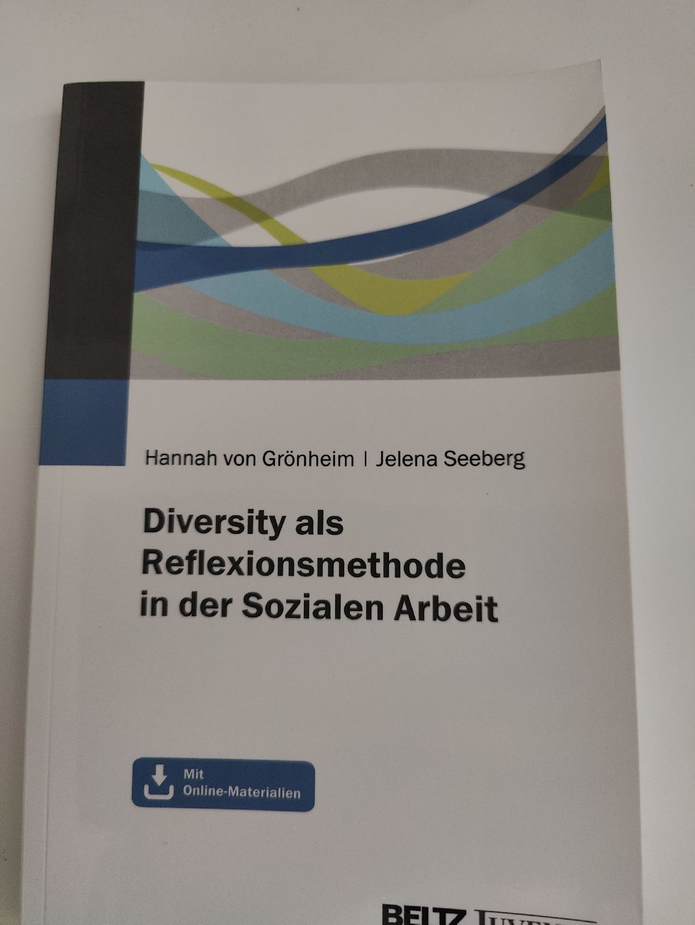 Libri: Diversity als Reflexionsmethode sozialer Arbeit  – Usato da Walkringen venduto da kimleu22