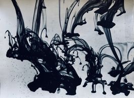Candid Lang (1930-2006) - Wasserpflanzen, VINTAGE