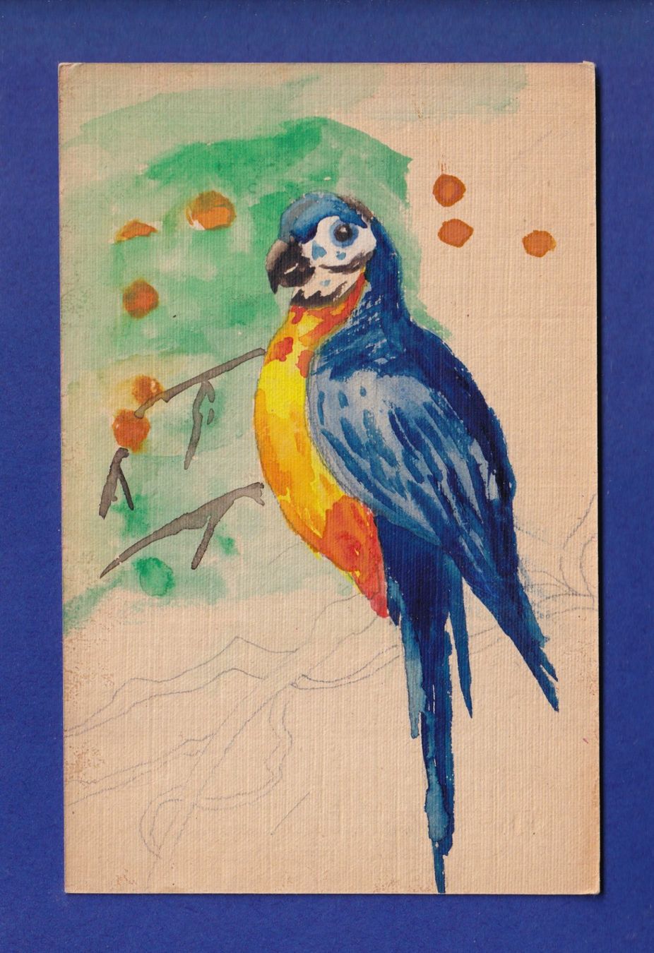 Ansichtskarten: OISEAU - Perroquet (Dessin) – Gebraucht aus Pully von nicecards-shop