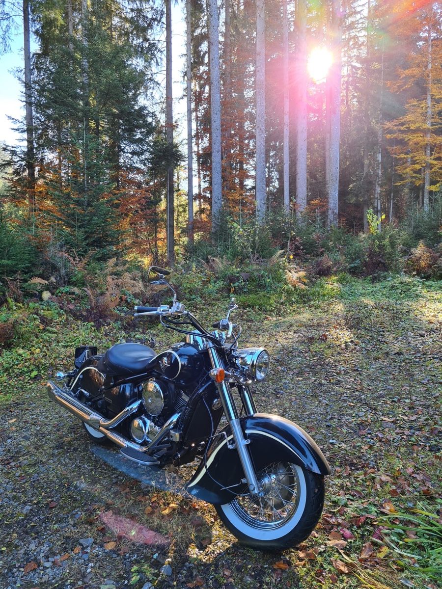 Kawasaki Chopper: Kawasaki VN 800 Drifter – Usato da Deitingen venduto da tma_88xc