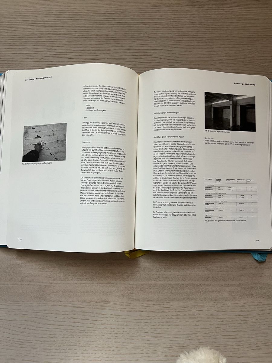 Bücher: Handbuch und Planungshilfe Baukonstruktion – Gebraucht aus Bern von fel_r5br 3