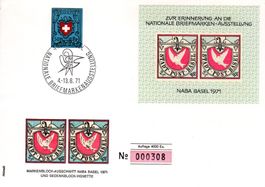 BRIEFMARKENAUSSTELLUNG NABA 1071 BASEL SONDERBELEG - F574