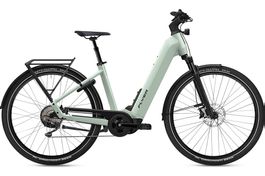NEU E-BIKE FLYER 25KM/H | 750WH & 95NM PANASONIC