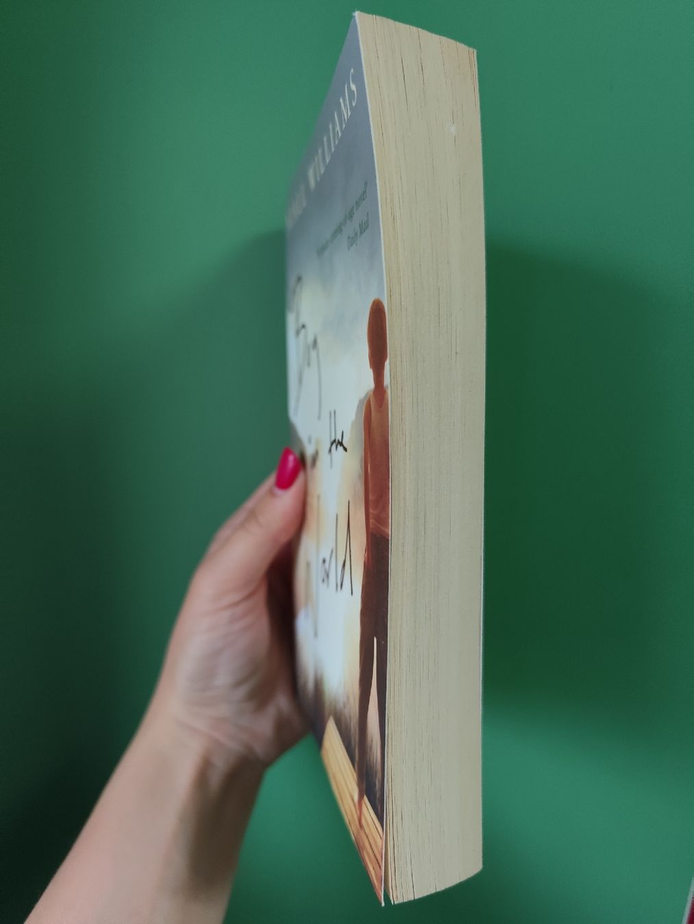 Libri: Niall Williams: Boy in the World – Usato da Mägenwil venduto da VintageGirly 1