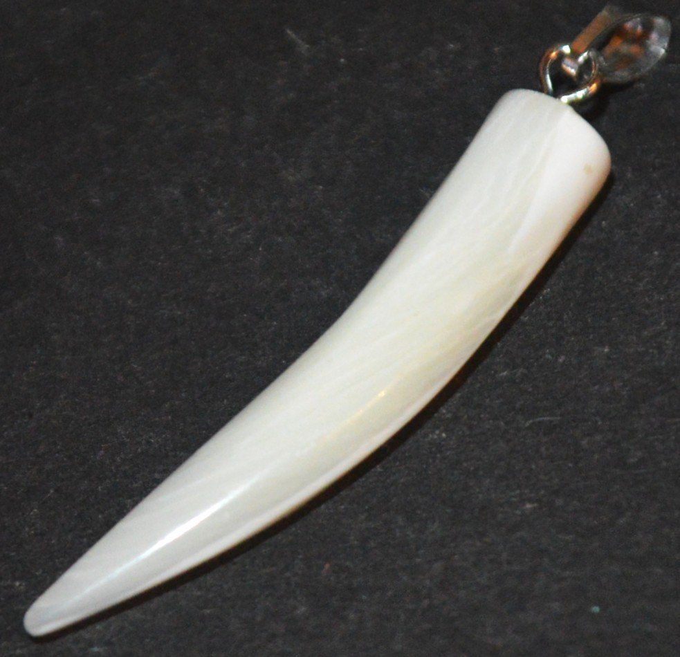 Ciondoli: Anhänger L-8310 – Perlmutter Zahn ca. 3cm – Nuovo e nell'imballaggio originale da Goldiwil (Thun) venduto da han_v5b7 2