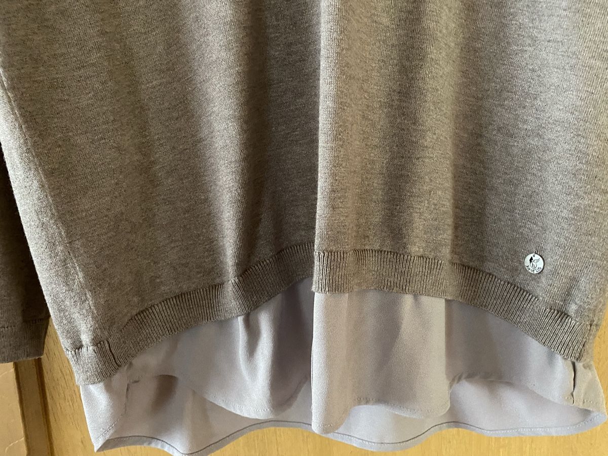 Maglioni & Felpe: Joy of Life Pulli Gr. 44 beige – Nuovo (secondo la descrizione) da Heimenschwand venduto da marlies-033 2