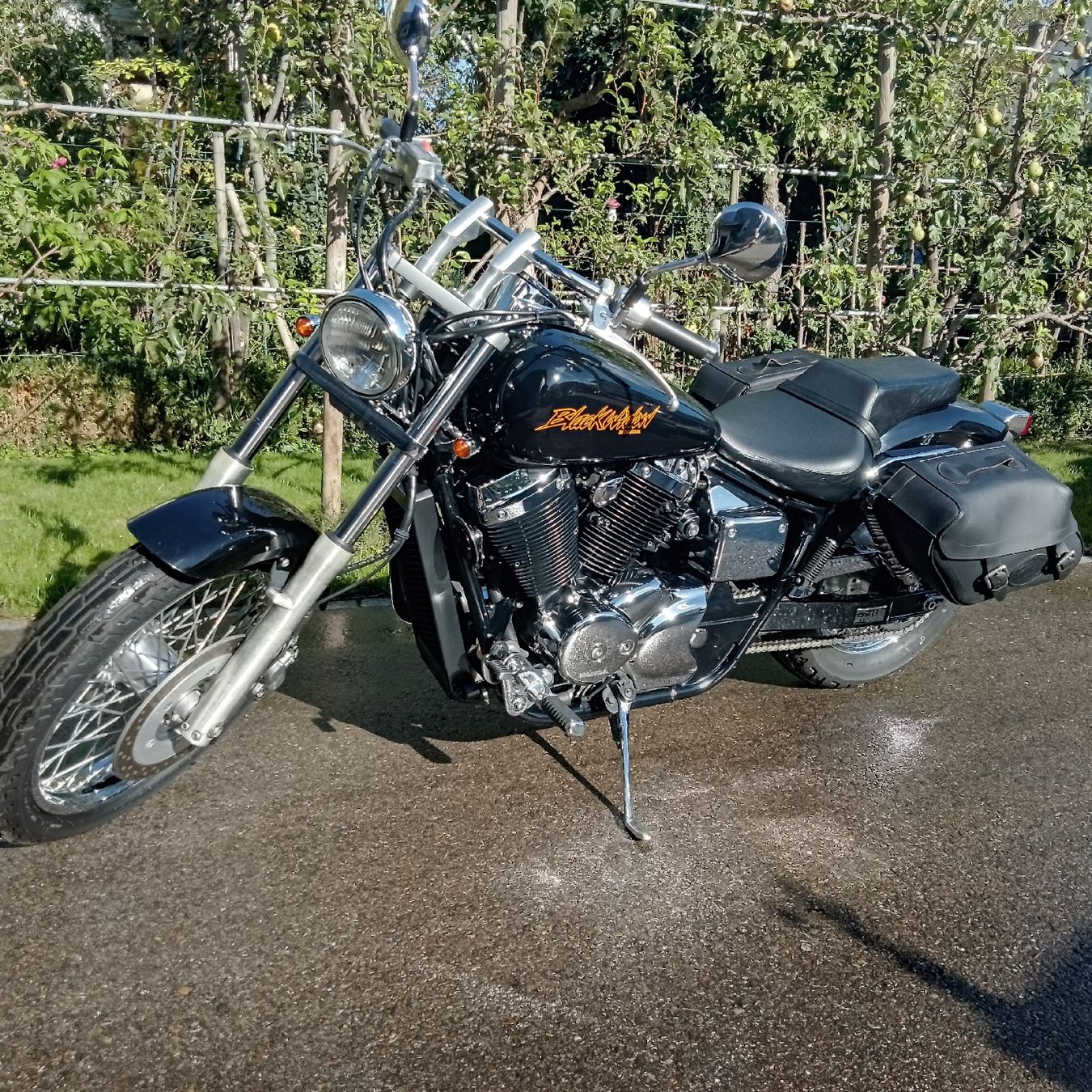 Honda Chopper: HONDA VT 750 DC , Black Widow – Usato da Frauenfeld venduto da Mataka