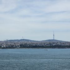 Profile image of Bustina