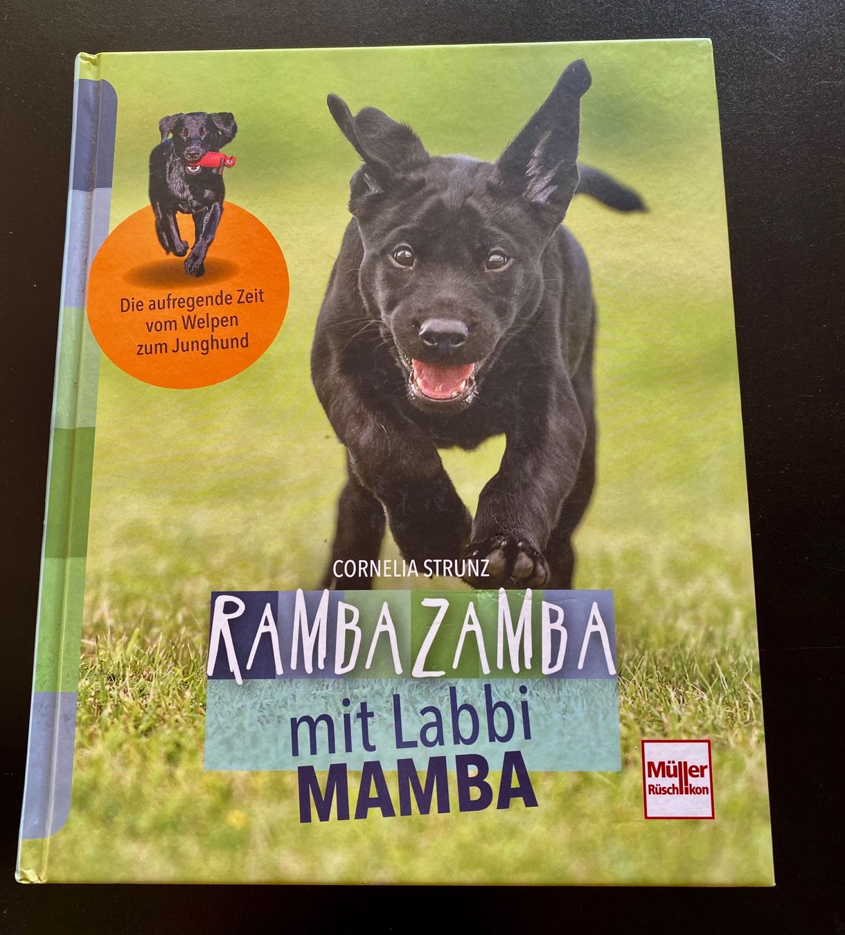 Libri: RAMBAZAMBA MIT LABBI MAMBA – Usato da Nussbaumen AG venduto da schuba2000
