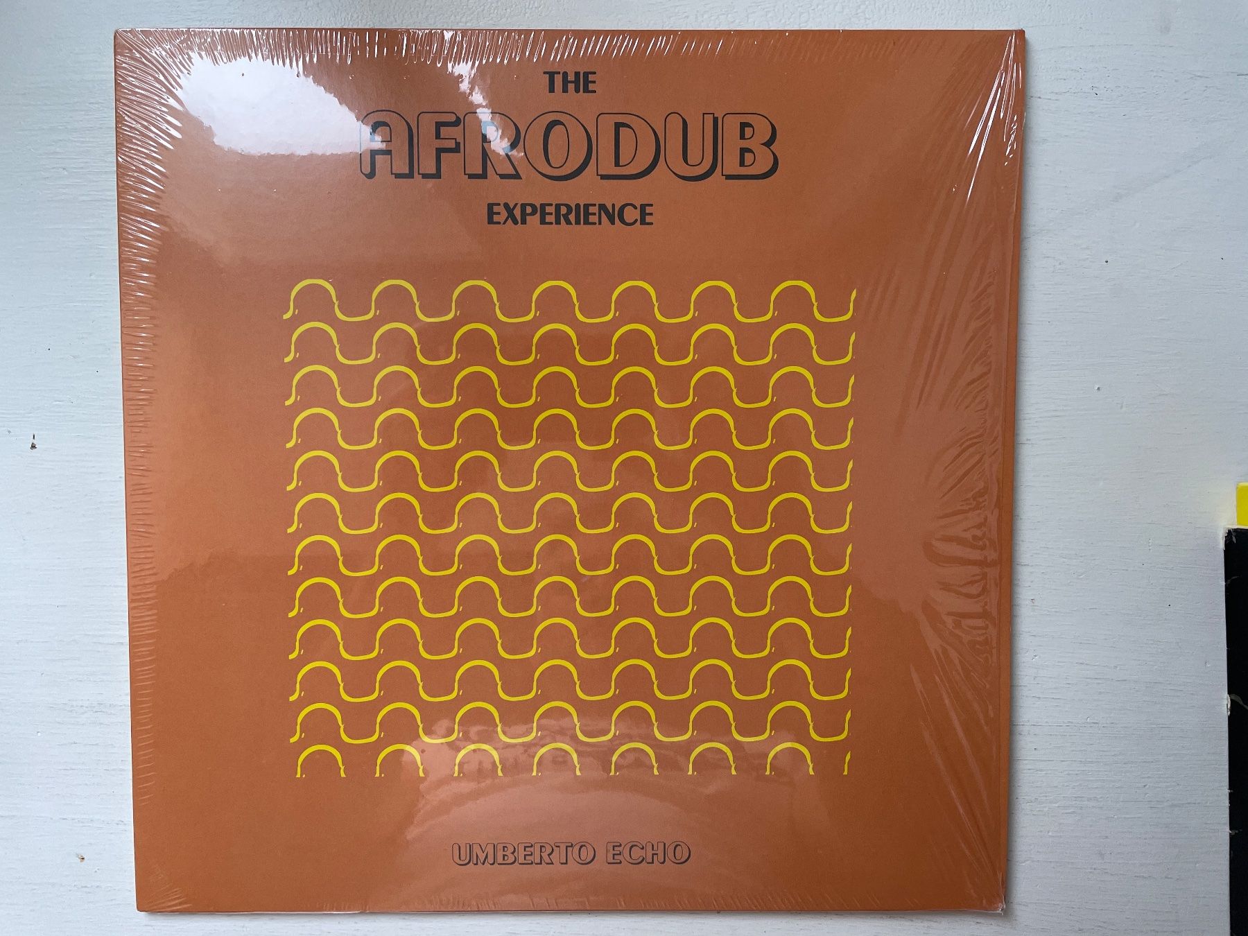 Dischi in vinile: Umberto Echo - The Afrodub Experience - LP, 2025 – Usato da Zürich venduto da Andy_t71