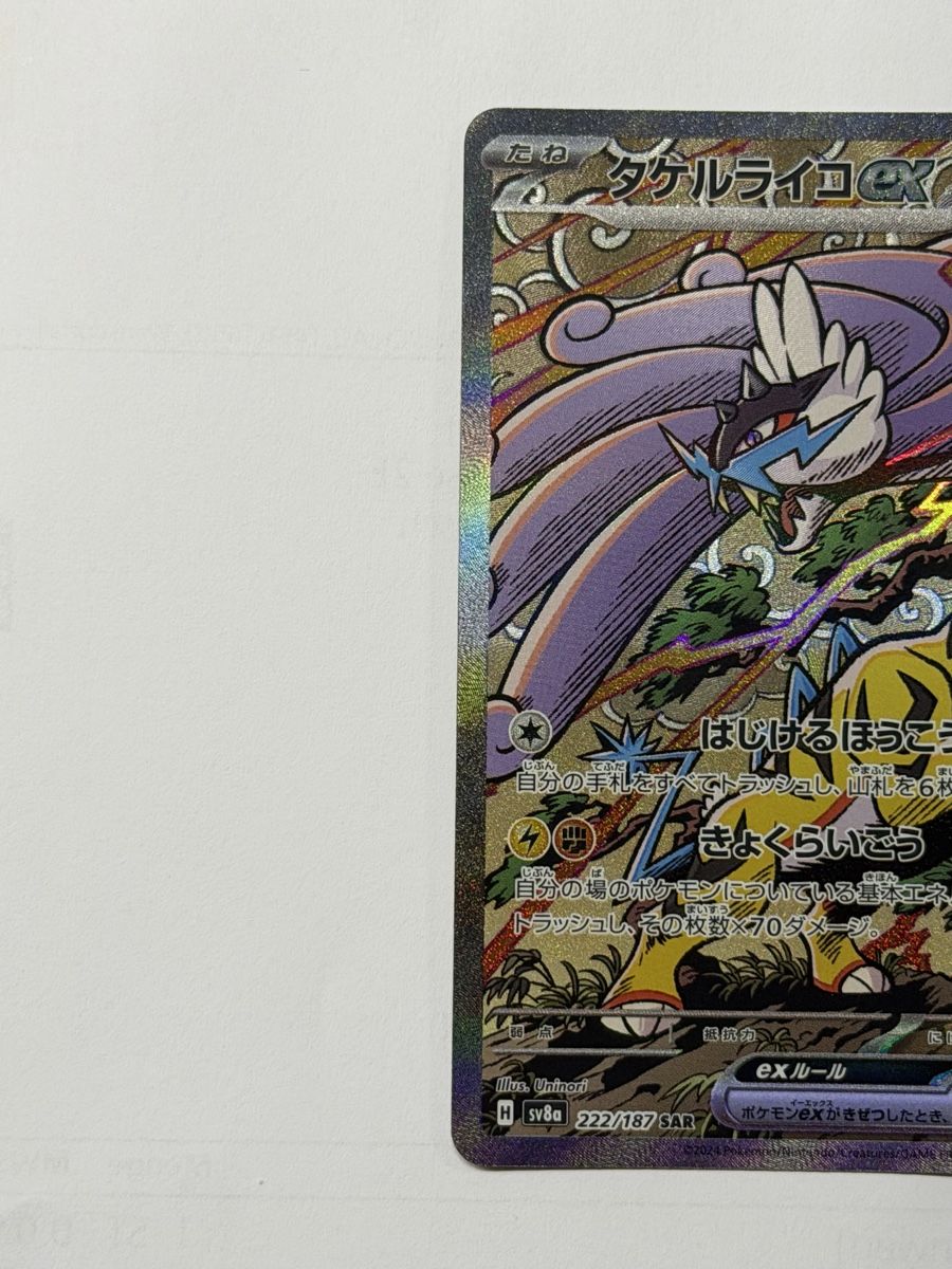 Pokémon Carte collezionabili: Raging Bolt ex 222/187 SAR – Nuovo (secondo la descrizione) da Windisch venduto da CharizArdi 2