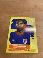 Panini COV 11