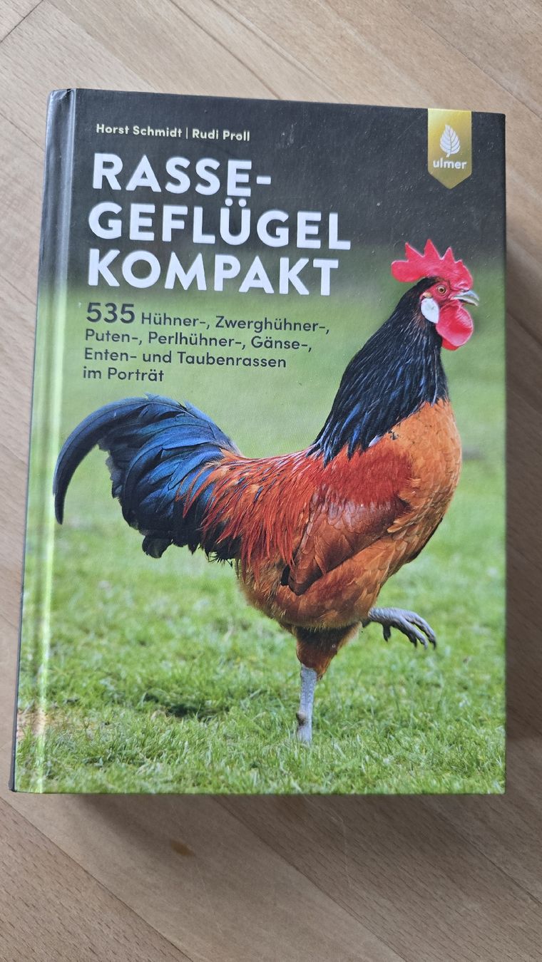 Libri: Rasse Geflügel Kompakt – Nuovo (secondo la descrizione) da Rüthi (Rheintal) venduto da Sinhue