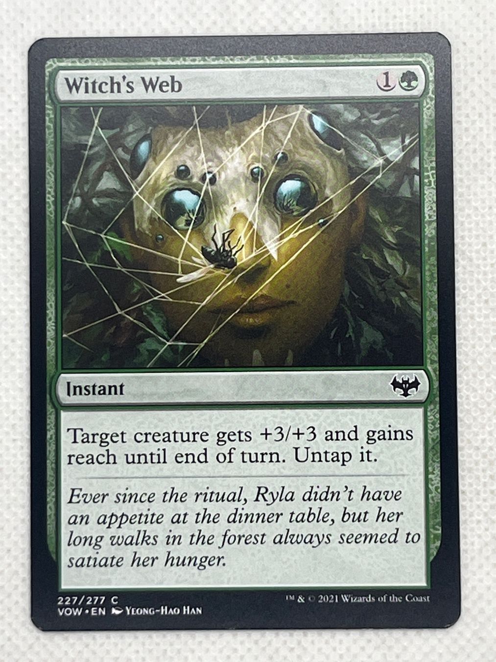 Magic The Gathering Sammelbilder & Trading cards: MTG Witch's Web VOW 227 Englisch Common – Gebraucht aus Hinterkappelen von Kim1992