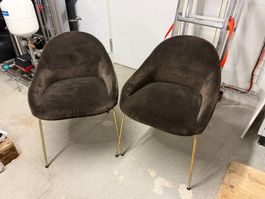 2 Polsterstühle dunkelbraun mit Metallbeinen gebraucht