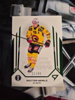 Waltteri Merelä SC Bern 2024/25 Sportzoo Playoffs 23/60