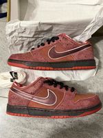 Nike SB Dunk Low „ Red Lobster „ / US10 / New
