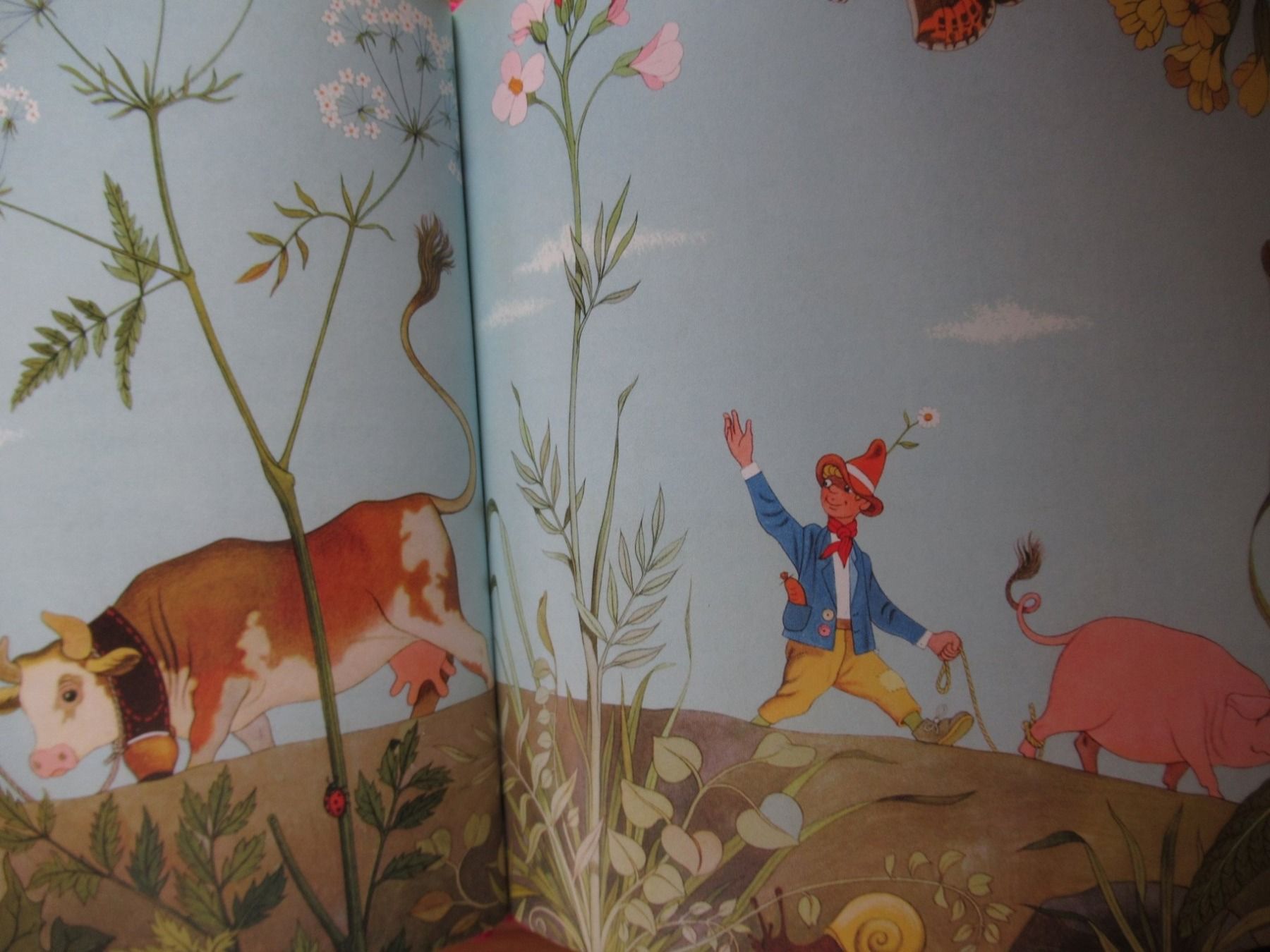 Libri: HANS IM GLÜCK KINDERBUCH – Nuovo (secondo la descrizione) da Moosseedorf venduto da haro01 6
