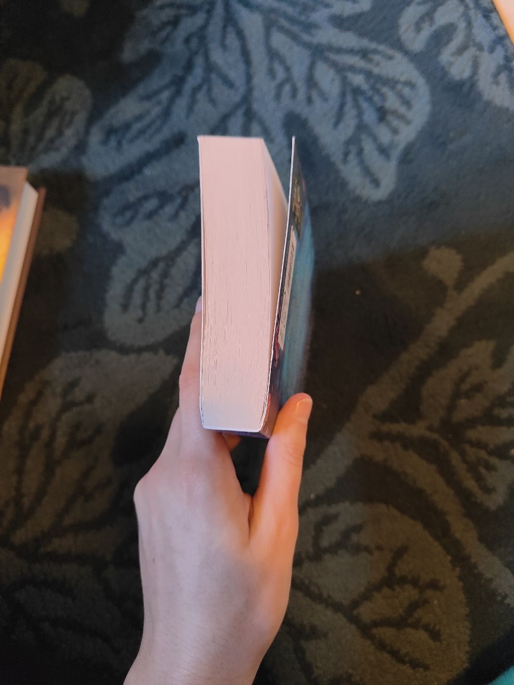 Bücher: book "A  Fragile Enchantment", Allison Saft – Gebraucht aus Coeuve von sap_2pfr 5