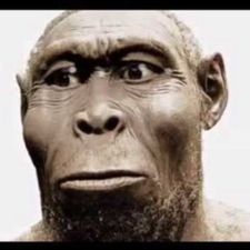Profile image of Rudello999