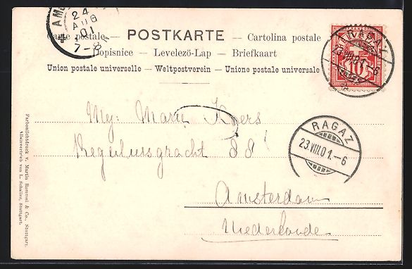 Cartes postales: AK Ragaz, Ortsansicht mit Edelweiss – D'occasion à Berlin par bartko-reher 1