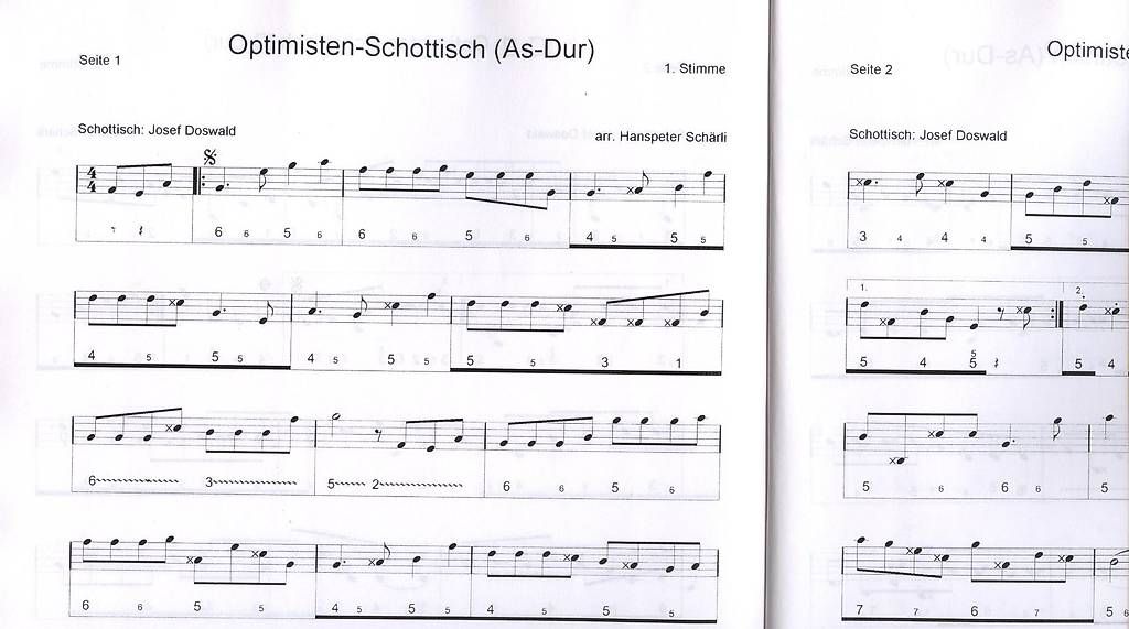 Libri: Notenheft für Schwyzerörgeli – Nuovo (secondo la descrizione) da Ennetbürgen venduto da Dosi6 1