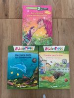 3 Leselöwen Bildermäuse Bücher für Leseanfänger 1./2. Klasse