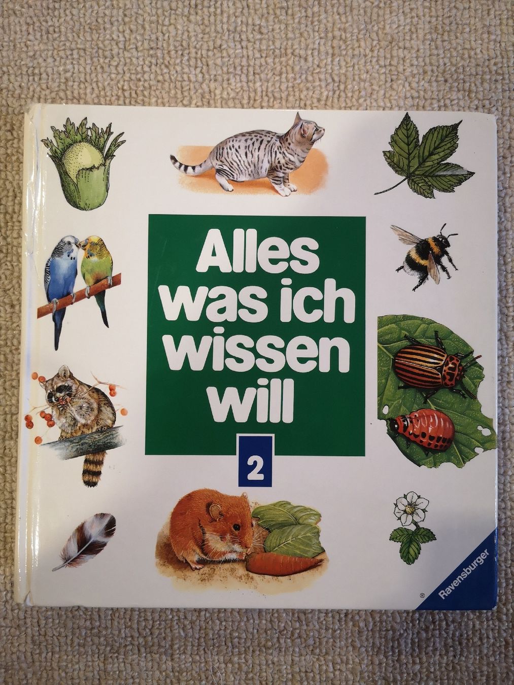 Libri: Alles was ich wissen will 2 – Nuovo (secondo la descrizione) da Appenzell venduto da Absp