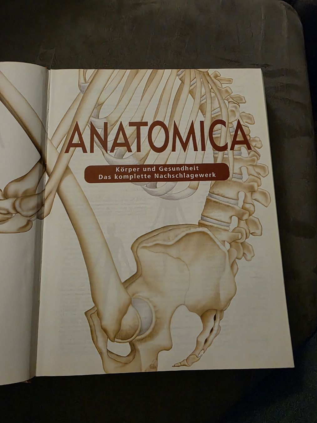 Libri: Anatomica 912 Seiten!!! – Usato da Dietlikon venduto da Audipower1981 1
