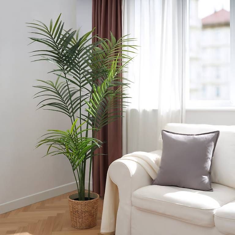 Plantes & graines: Kunstpflanze 180cm  – D'occasion à Dietikon par Cile5340