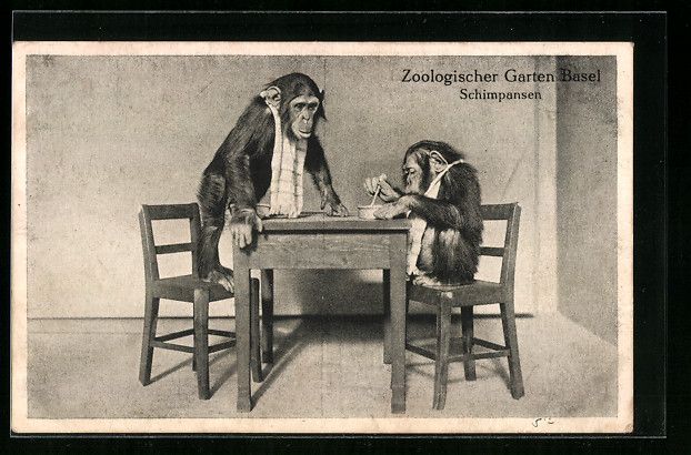 Cartoline postali: Basel, Schimpansen am Tisch, Zoologische – Usato da Berlin venduto da bartko-reher