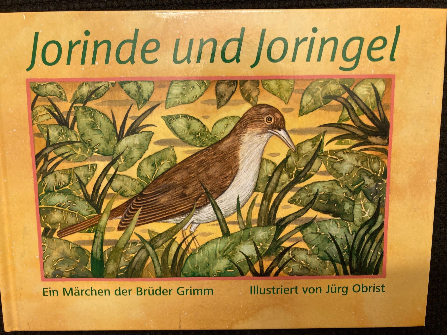 Libri: Brüder Grimm, Jorinde und Joringel – Usato da Baden venduto da Yoyo1