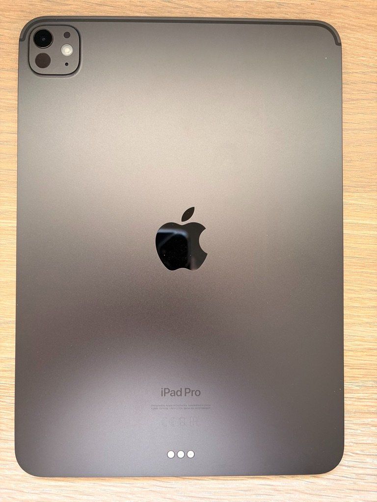 Apple Tablet PC: IPad Pro 11 (M4) – Usato da Cama venduto da tho_nzt5 1