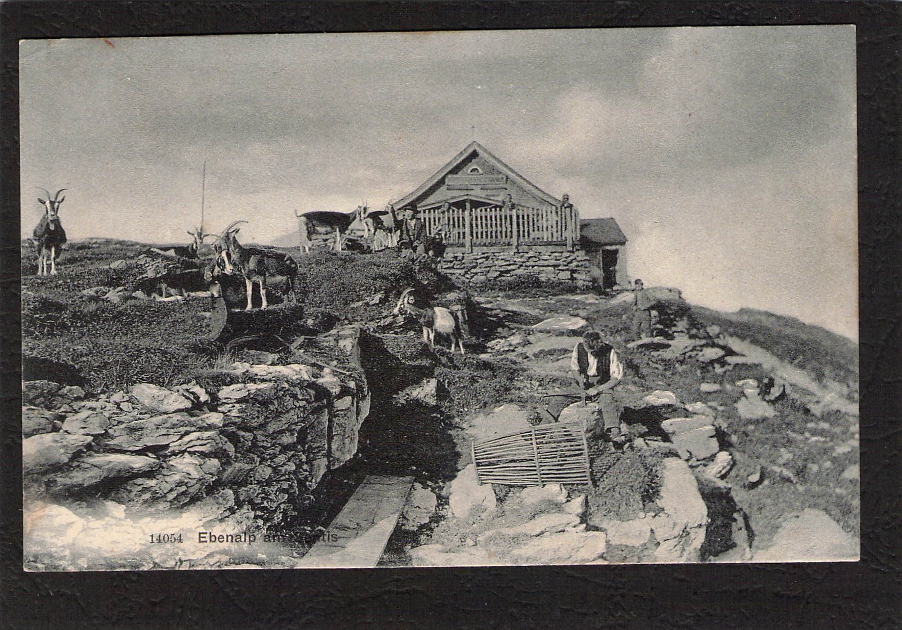 Cartoline postali: #Ebenalp am Säntis – Usato da Reichenburg venduto da Pipo-67